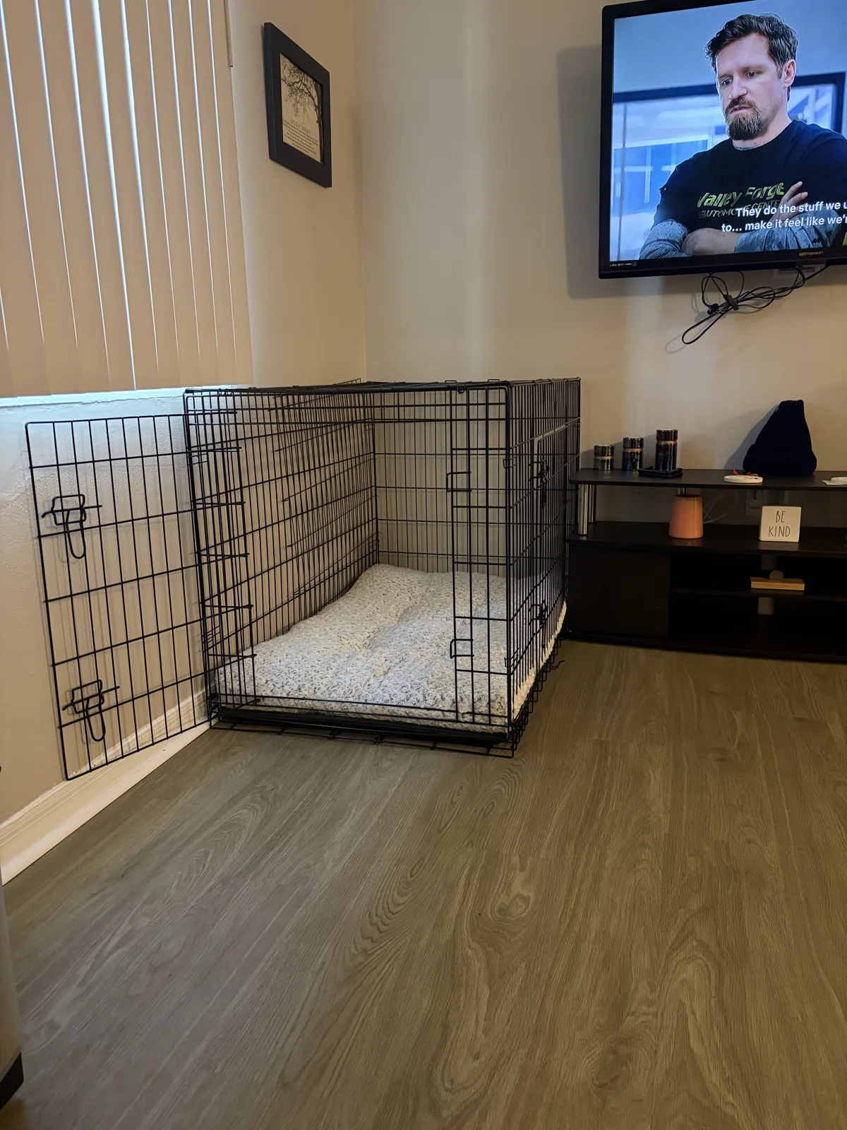 A pet cared for by Christine's Professional Pet Care
