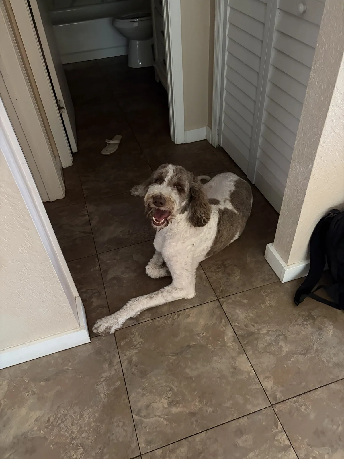 A pet cared for by Christine's Professional Pet Care