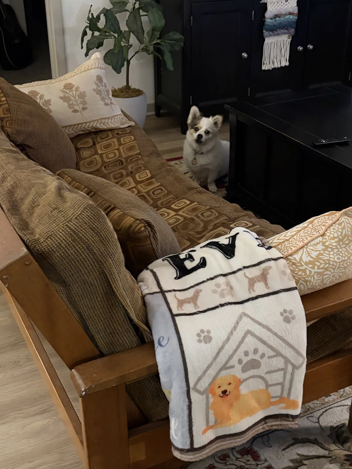 Drop-In Pet Visits with Christine's Professional Pet Care